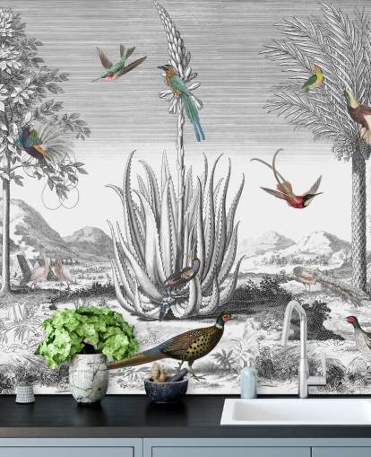 fondo blanco y negro con papel pintado de pájaros de colores