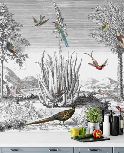 black and white background with colourful birds wallpaper