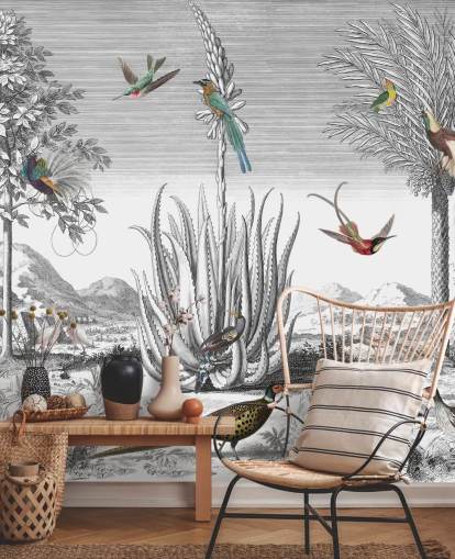 black and white background with colourful birds wallpaper