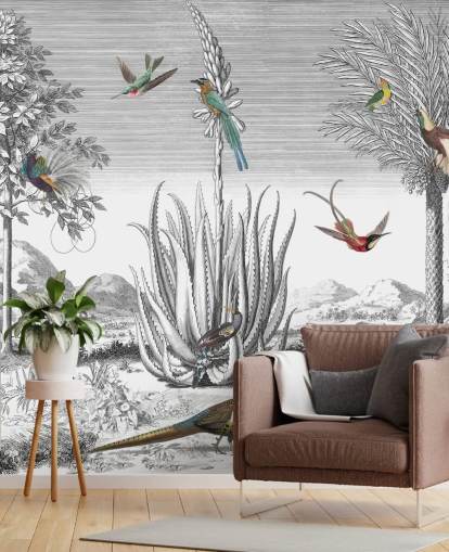 black and white background with colourful birds wallpaper black and white background with colourful birds wallpaper