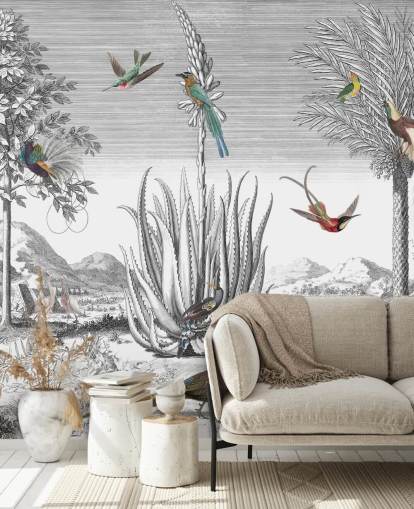 black and white background with colourful birds wallpaper black and white background with colourful birds wallpaper