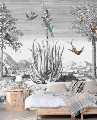 black and white background with colourful birds wallpaper