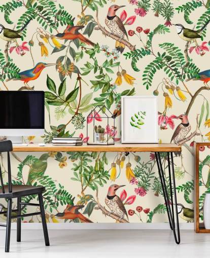 colourful birds wallpaper