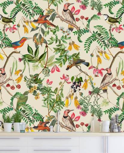 colourful birds wallpaper colourful birds wallpaper