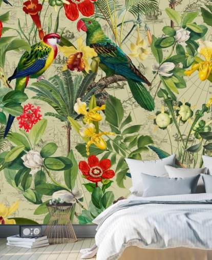 colourful tropical bird wallpaper colourful tropical bird wallpaper