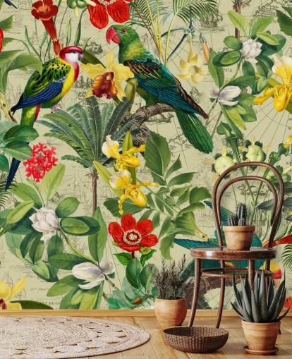 colourful tropical bird wallpaper