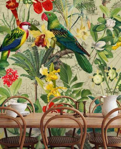 kleurrijk tropisch vogelbehang kleurrijk tropisch vogelbehang