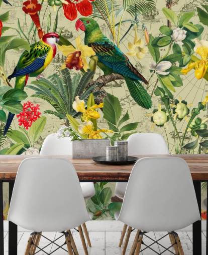 papel pintado colorido pájaro tropical papel pintado colorido pájaro tropical