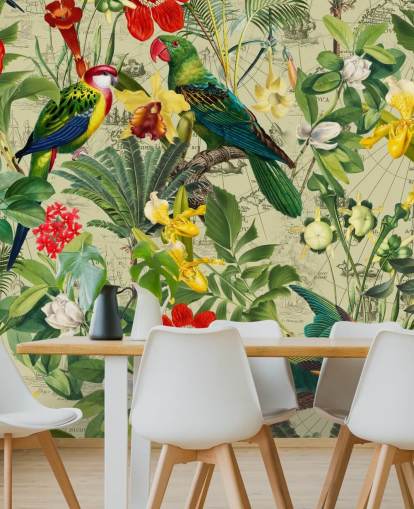 papel de parede de pássaros tropicais coloridos papel de parede de pássaros tropicais coloridos