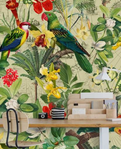 papel de parede de pássaros tropicais coloridos