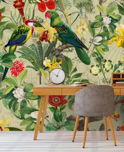 papel pintado colorido pájaro tropical papel pintado colorido pájaro tropical