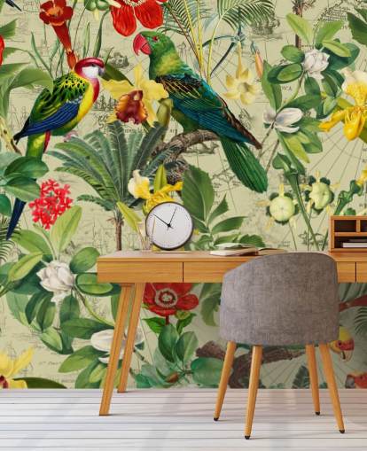 kleurrijk tropisch vogelbehang