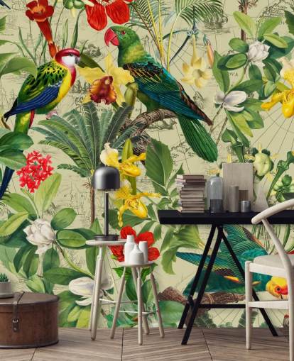 colourful tropical bird wallpaper