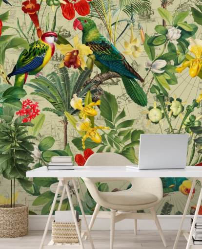 colourful tropical bird wallpaper