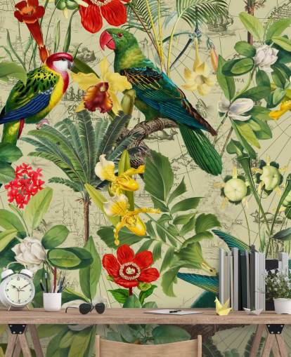 colourful tropical bird wallpaper