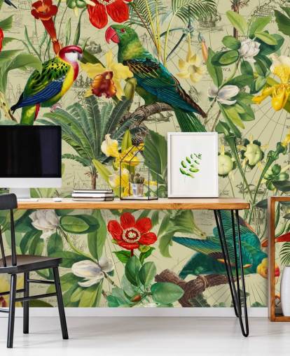 papier peint coloré oiseaux tropicaux papier peint coloré oiseaux tropicaux