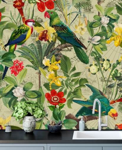 papier peint coloré oiseaux tropicaux