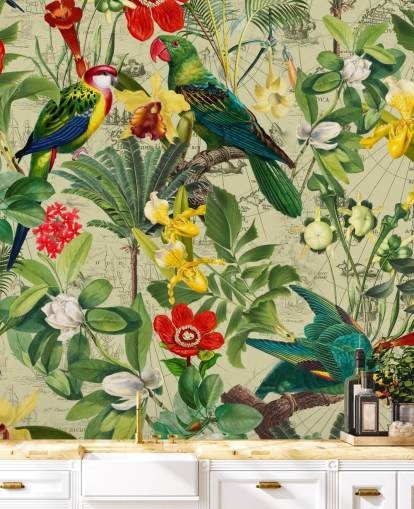 papel de parede de pássaros tropicais coloridos papel de parede de pássaros tropicais coloridos