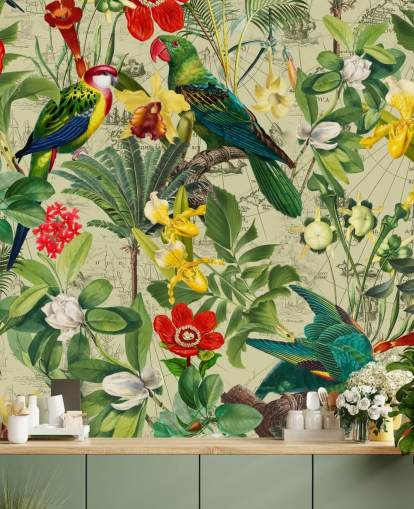 colourful tropical bird wallpaper colourful tropical bird wallpaper