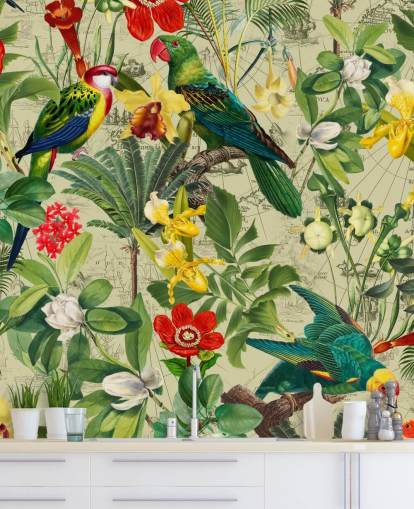 colourful tropical bird wallpaper