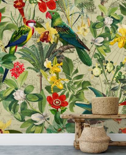 papier peint coloré oiseaux tropicaux papier peint coloré oiseaux tropicaux