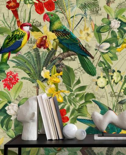 papel de parede de pássaros tropicais coloridos papel de parede de pássaros tropicais coloridos