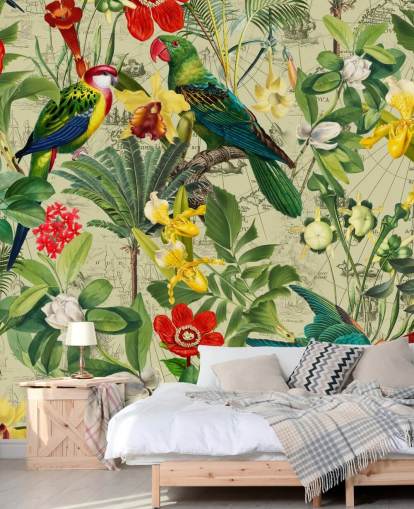 papier peint coloré oiseaux tropicaux papier peint coloré oiseaux tropicaux