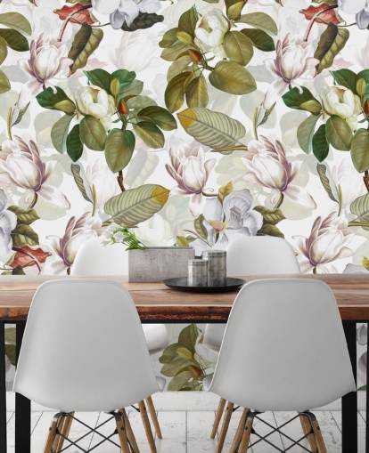 valkoinen magnolia kukkia, vihreät lehdet, valkoinen tausta tapetti valkoinen magnolia kukkia, vihreät lehdet, valkoinen tausta tapetti