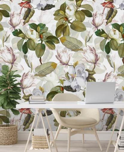 valkoinen magnolia kukkia, vihreät lehdet, valkoinen tausta tapetti 