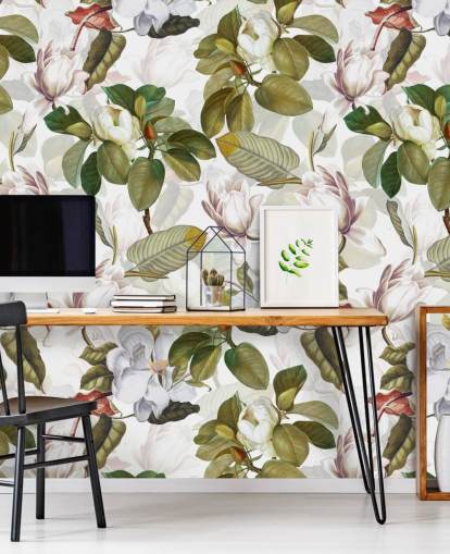 vit magnolia blommor, gröna blad, vit bakgrund tapet 