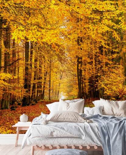 carta da parati autunno foresta