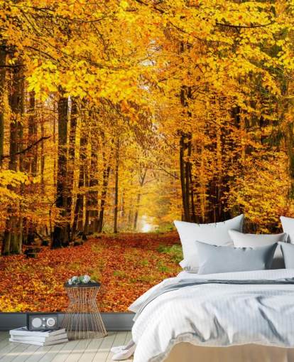 autumn forest wallpaper