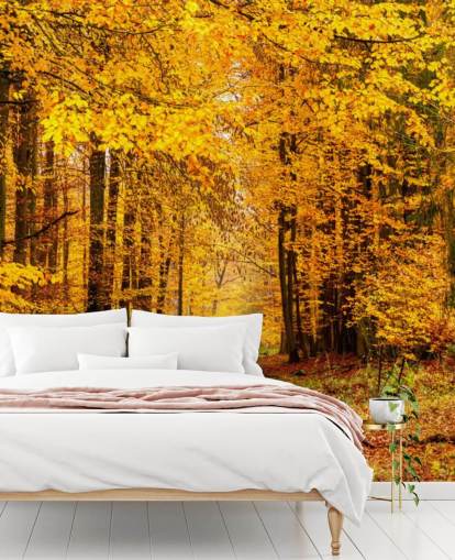 autumn forest wallpaper