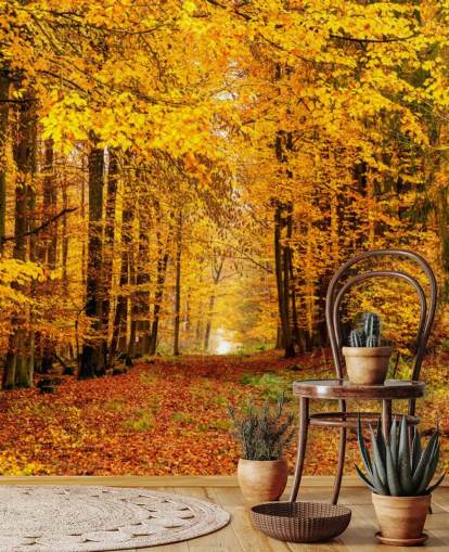 papier peint forêt d'automne