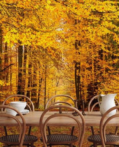 autumn forest wallpaper