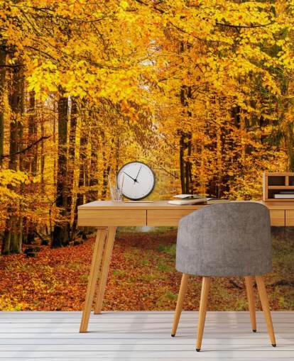 carta da parati autunno foresta