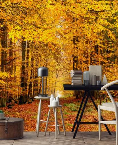 autumn forest wallpaper autumn forest wallpaper