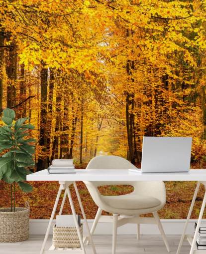 Fondos de autumn forest