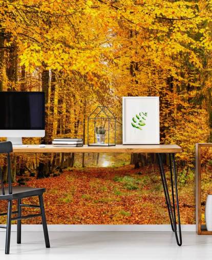 carta da parati autunno foresta