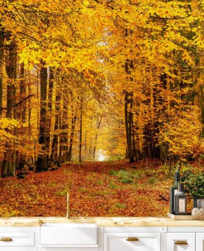 carta da parati autunno foresta