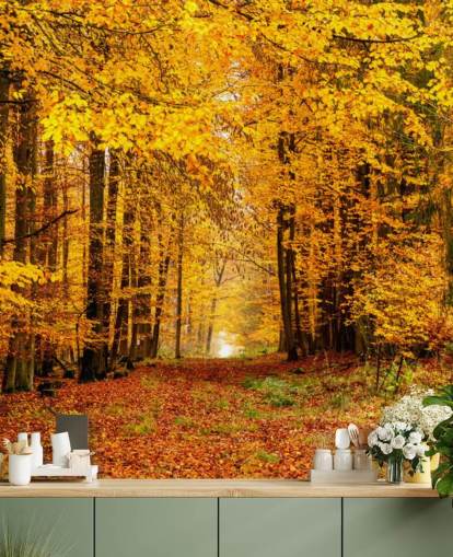 autumn forest wallpaper