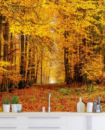 papier peint forêt d'automne papier peint forêt d'automne