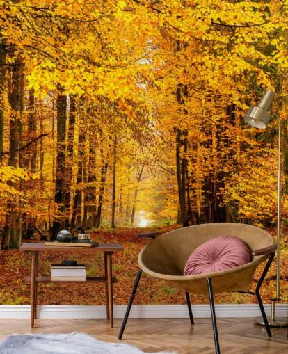 papier peint forêt d'automne