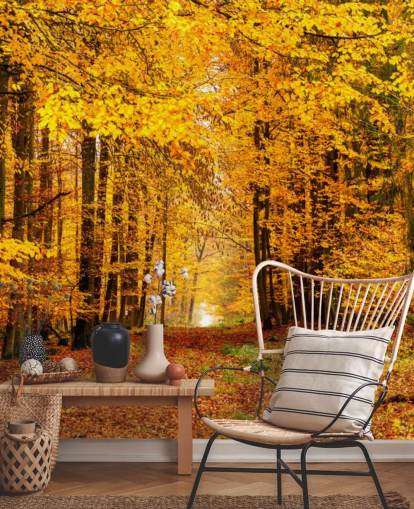 autumn forest wallpaper