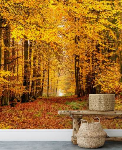 autumn forest wallpaper autumn forest wallpaper