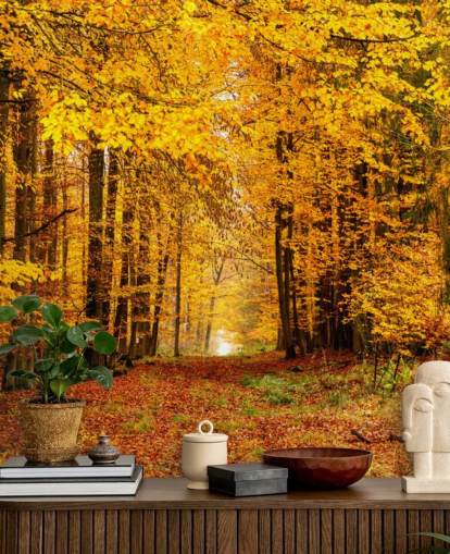 carta da parati autunno foresta