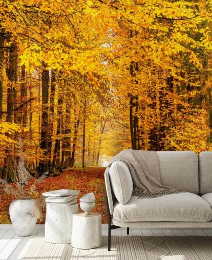 autumn forest wallpaper