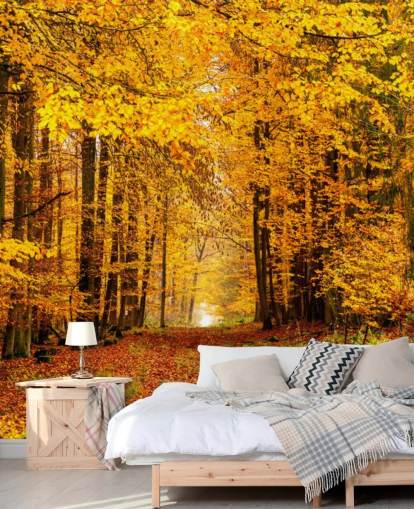 Herbstwald Tapete
