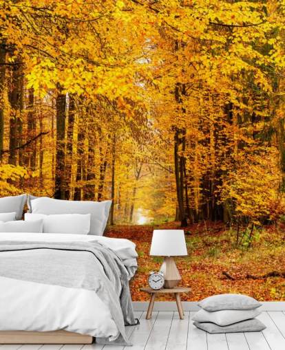 autumn forest wallpaper