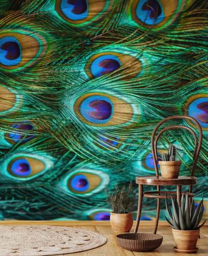 Peacock Eyes Print Peacock Eyes Print